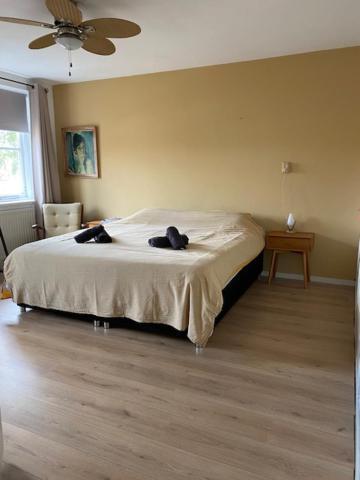 Sunnystay 43 Middelburg Bagian luar foto
